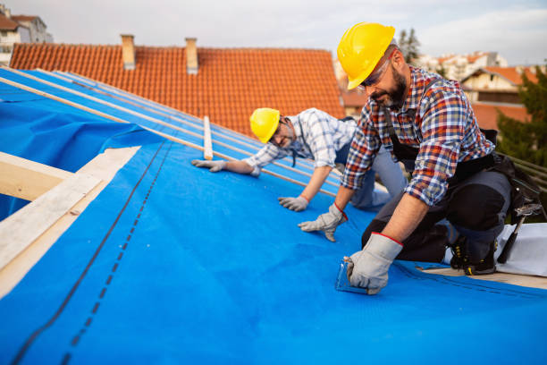 Quick and Trustworthy Emergency Roof Repair Services in Brooklyn Park, MN