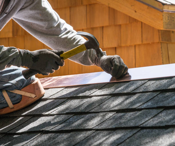 Best Flat Roof Repair Services  in Brooklyn Park, MN